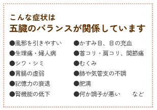 セルシーアンドルモン | セルシー化粧品サンドリーム販社