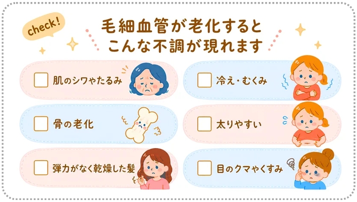 セルシーアンドルモン | セルシー化粧品サンドリーム販社